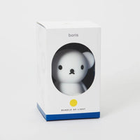 Boris Bundle of Light