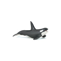 Orca Figurine - Parkette.
