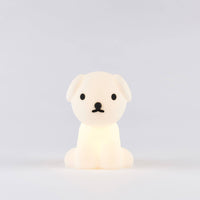 Snuffy Night Light - Parkette.