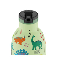 Kids Insulated Bottle - Jurassic Friends 330 ml