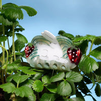 Strawberry Fields White Rabbit Cute Acetate Hair Claw Clip - Parkette.