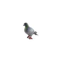 Pigeon Figurine - Parkette.