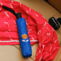Flowers Foldable Umbrella π - Parkette.