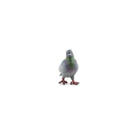 Pigeon Figurine - Parkette.