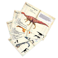 National Museum of Natural History Dinosaur Magnet Set