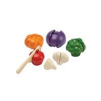 Assorted Vegetable Set - Parkette.
