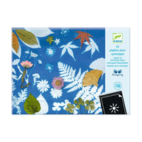 Cyanotype Refill Paper - Parkette.