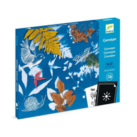 Cyanotype Starter Kit - Parkette.