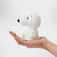 Snoopy Bundle of Light