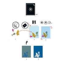 Cyanotype Refill Paper - Parkette.