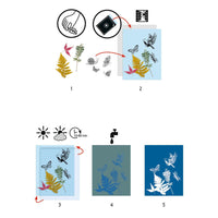 Cyanotype Starter Kit - Parkette.
