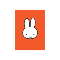 All Wrapped Up: Miffy Blank Note Cards - Parkette.