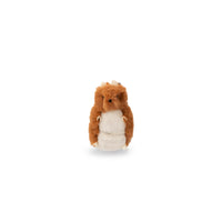 Puce et Pilou Tooth Hamster