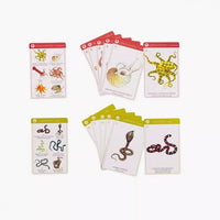 Tout Autour du Monde Happy Families Card Game