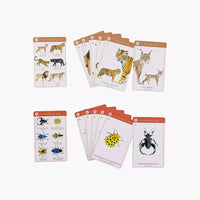 Tout Autour du Monde Happy Families Card Game