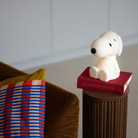 Snoopy Bundle of Light