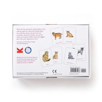 Cats and Kittens: A Memory Game