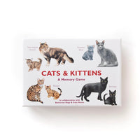 Cats and Kittens: A Memory Game