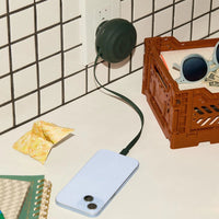 The Charger - Evergreen