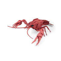 Tout Autour du Monde 3D Puzzle - Crayfish