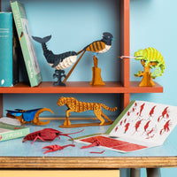 Tout Autour du Monde 3D Puzzle - Crayfish