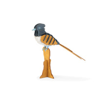 Tout Autour du Monde 3D Puzzle - Indian Paradise Flycatcher