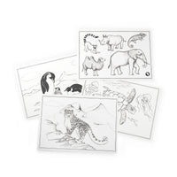 Tout Autour du Monde Drawing Templates
