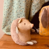 Trois Petits Lapins Musical Hedgehog - Parkette.