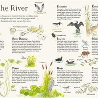 Mouse on the River: A Journey Through Nature