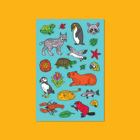 Animals of the 5 Ecosystems of the Americas Sticker Sheet - Parkette.