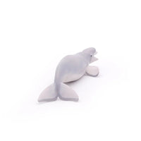 Beluga Whale