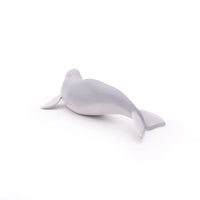 Beluga Whale