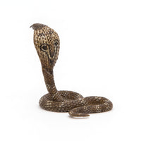 King Cobra