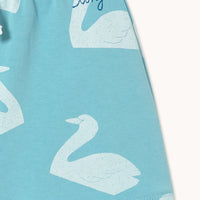 Big Swans Shorts - Parkette.