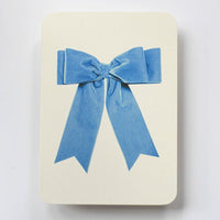 Baby Blue Velvet Bow Greeting Card - Parkette.