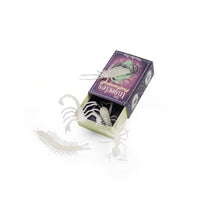 Les Petites Merveilles Glow in the Dark Insects - Parkette.