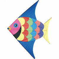 Large Kite - Assorted Shapes - Parkette.