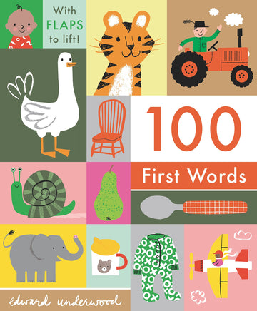 Image of 100 First Words Picture Book Cover