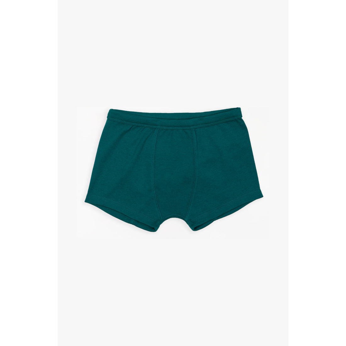 High Waisted Organic Cotton Panties in Teal Organic Cotton GOTS Certified Organic  Cotton Underwear -  Canada