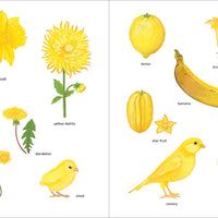 Orange is an Apricot, Green is a Tree Frog: Explore the Natural World Through Color - Parkette.