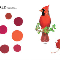 Orange is an Apricot, Green is a Tree Frog: Explore the Natural World Through Color - Parkette.