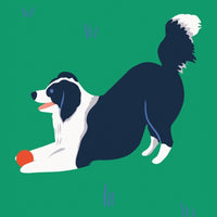 Border Collie Print - Parkette.