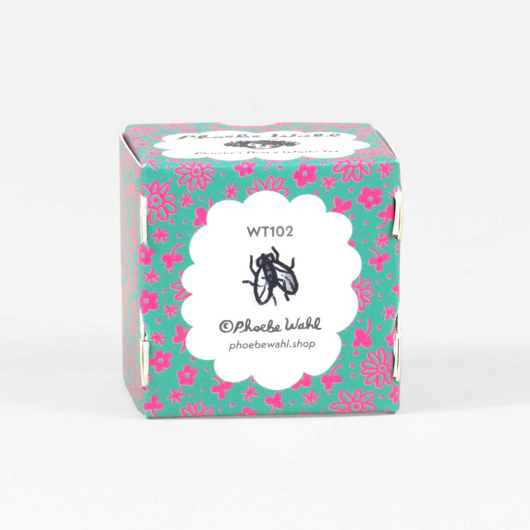 Phoebe Wahl Phoebe’s Diary Washi Set