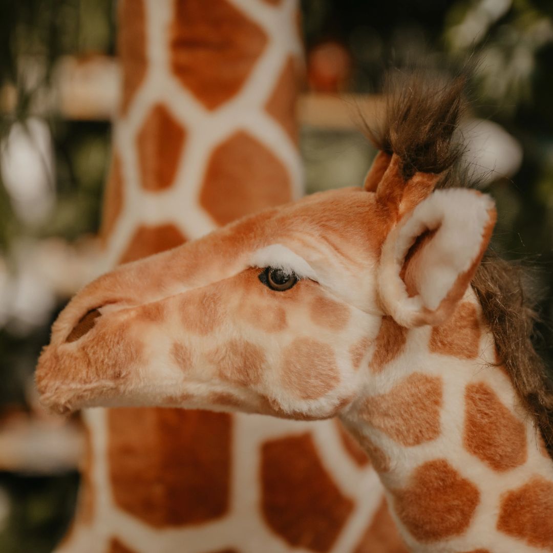 Giraffe - 135 cm