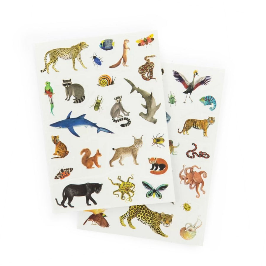 Tout Autour Du Monde Temporary Tattoos