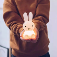 Miffy Bundle of Light