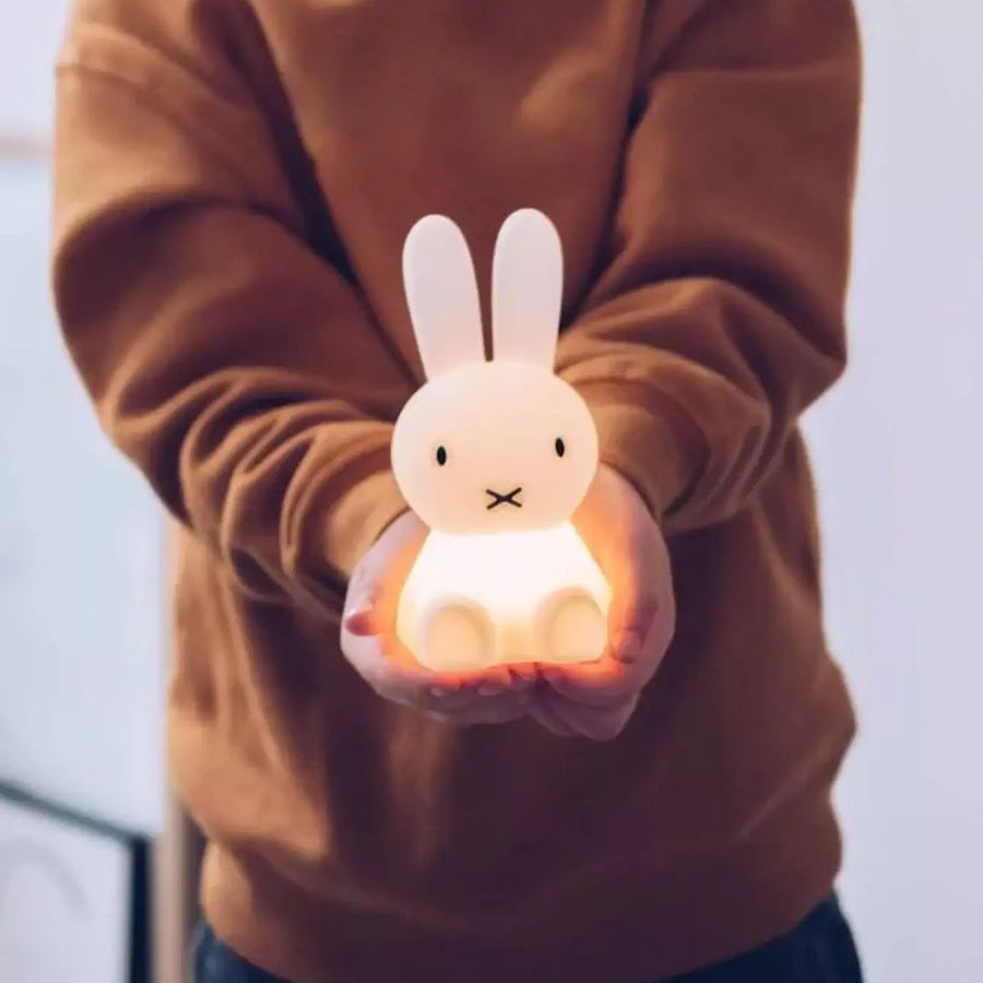 Miffy Bundle of Light