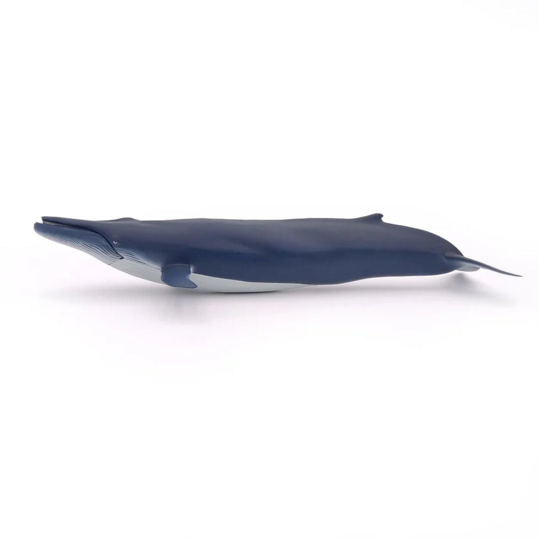 Blue Whale Figurine - Parkette.