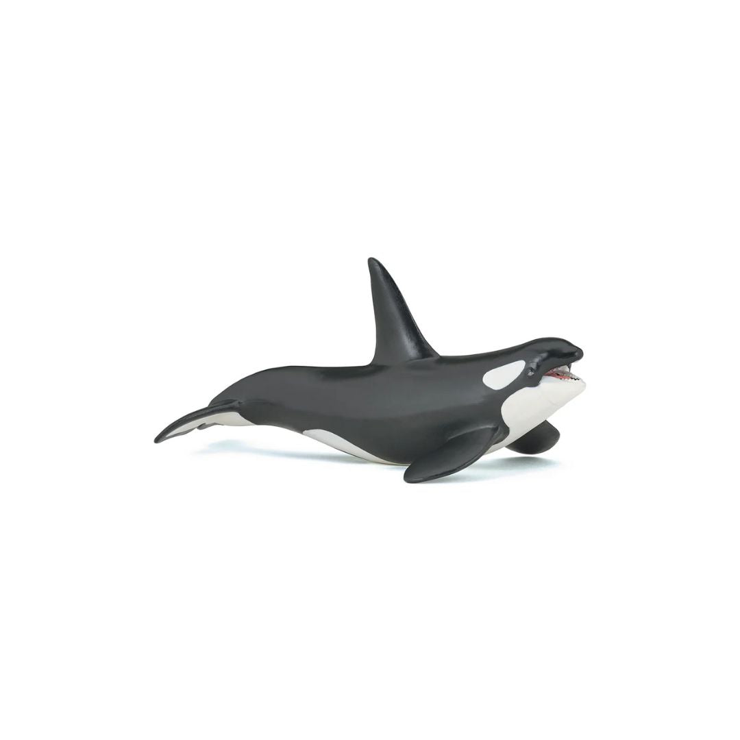 Orca Figurine - Parkette.