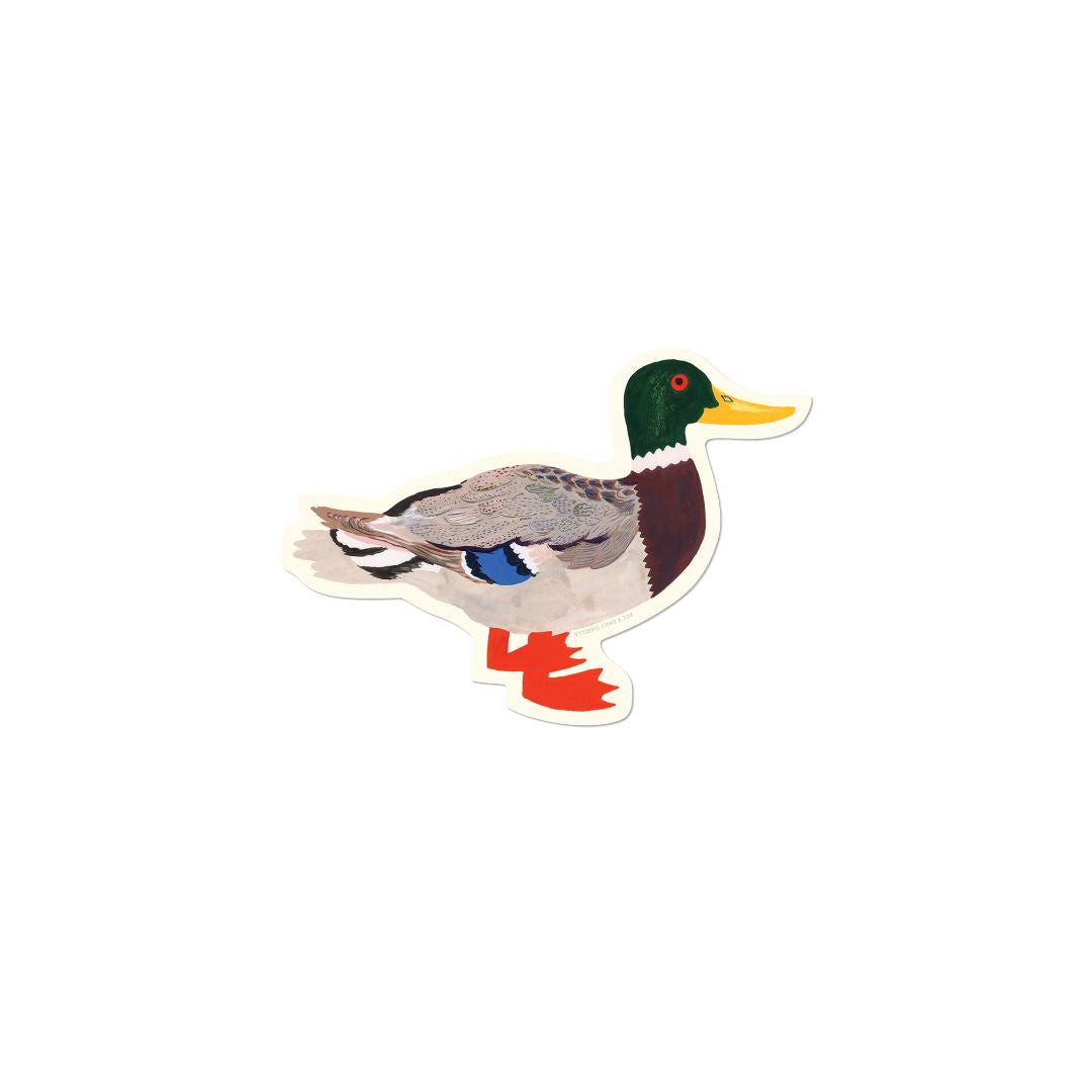 Mallard Sticker